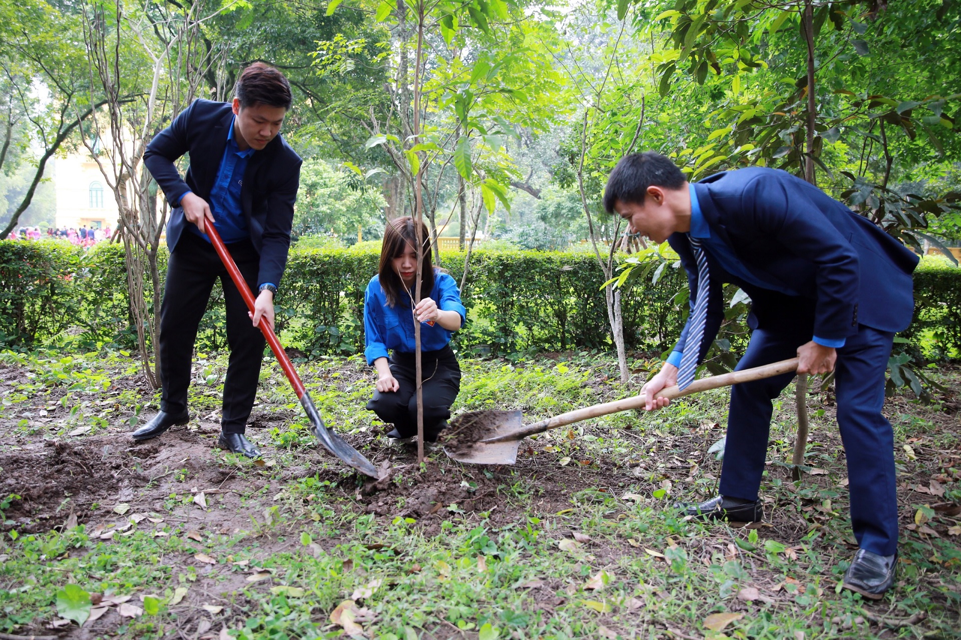 Đoàn trồng cây 5