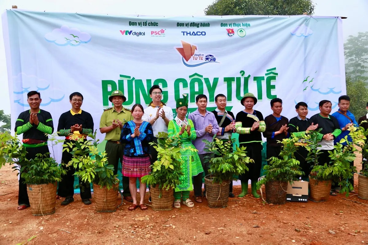 Rừng cây tử tế 2