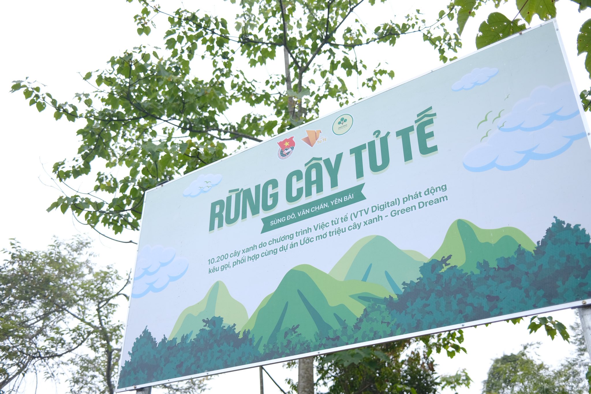 Rừng cây tử tế 3