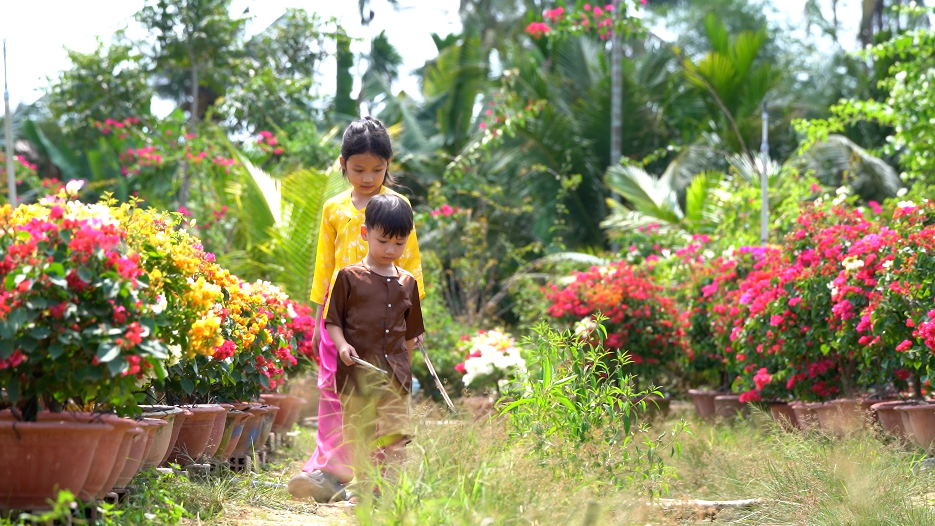 Cha con vạn dặm 4