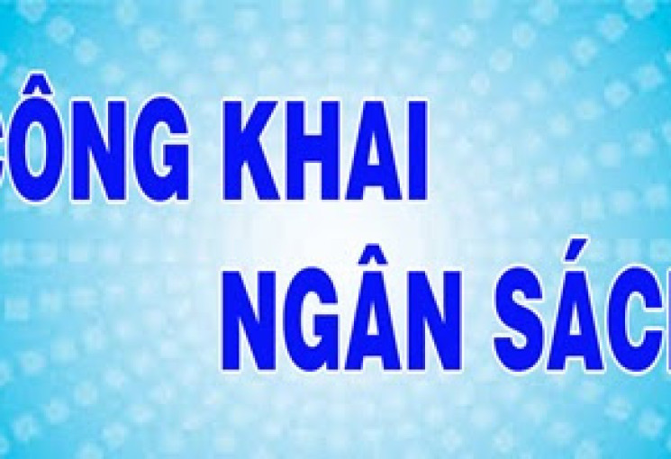 Đài THVN công khai điều chỉnh phân bổ dự toán NSNN năm 2026