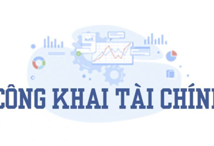 Công khai thông tin tài chính năm 2024 của các doanh nghiệp do Đài THVN đầu tư, góp vốn
