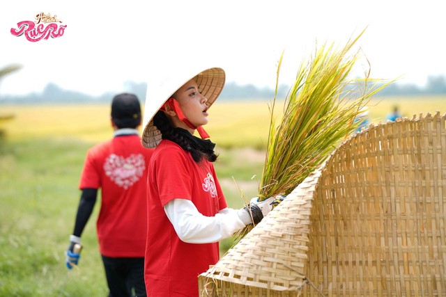 Bích Phương gặt lúa ở Hành trình rực rỡ