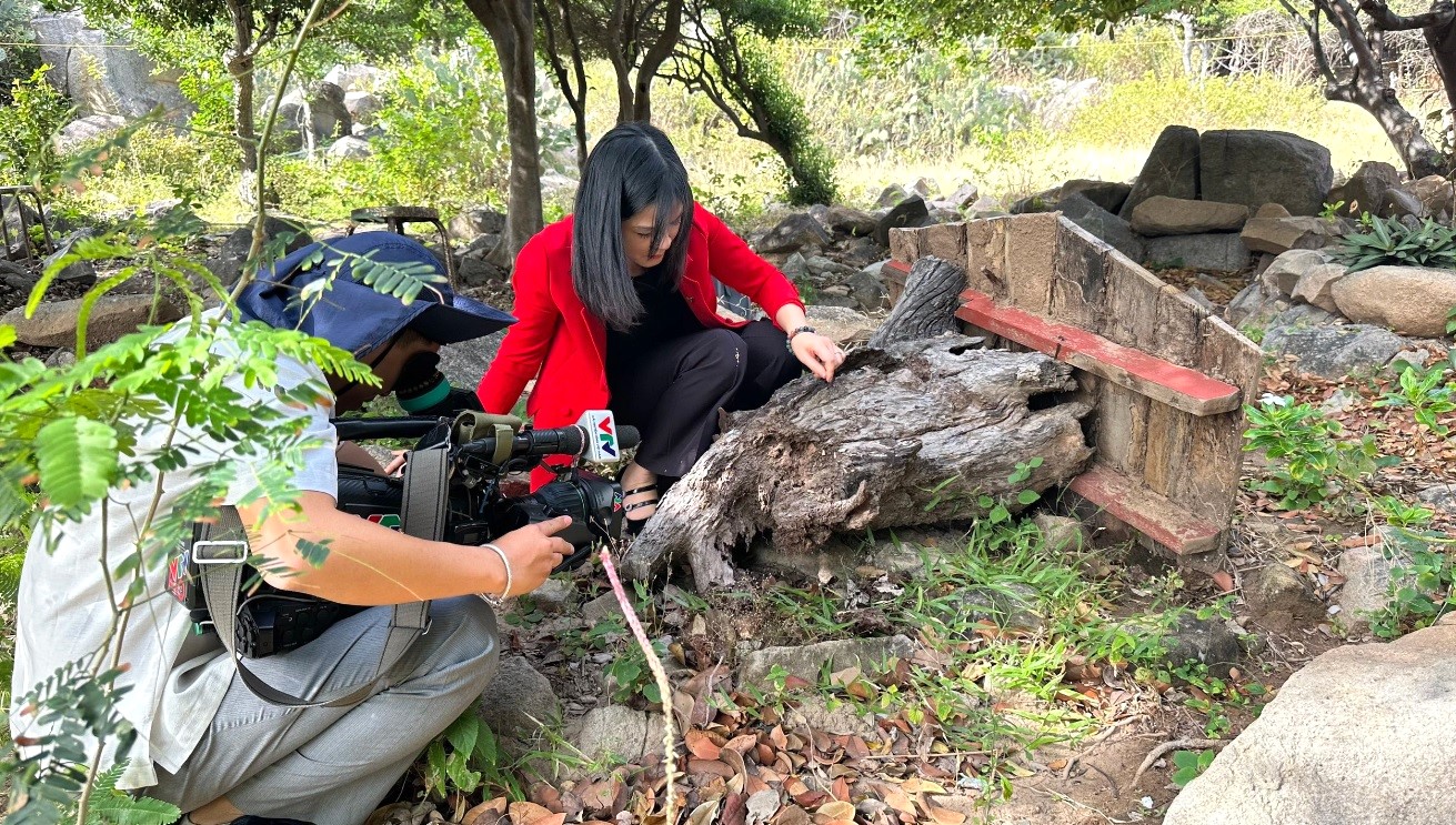 khat-vong-thinh-vuong-2024-2