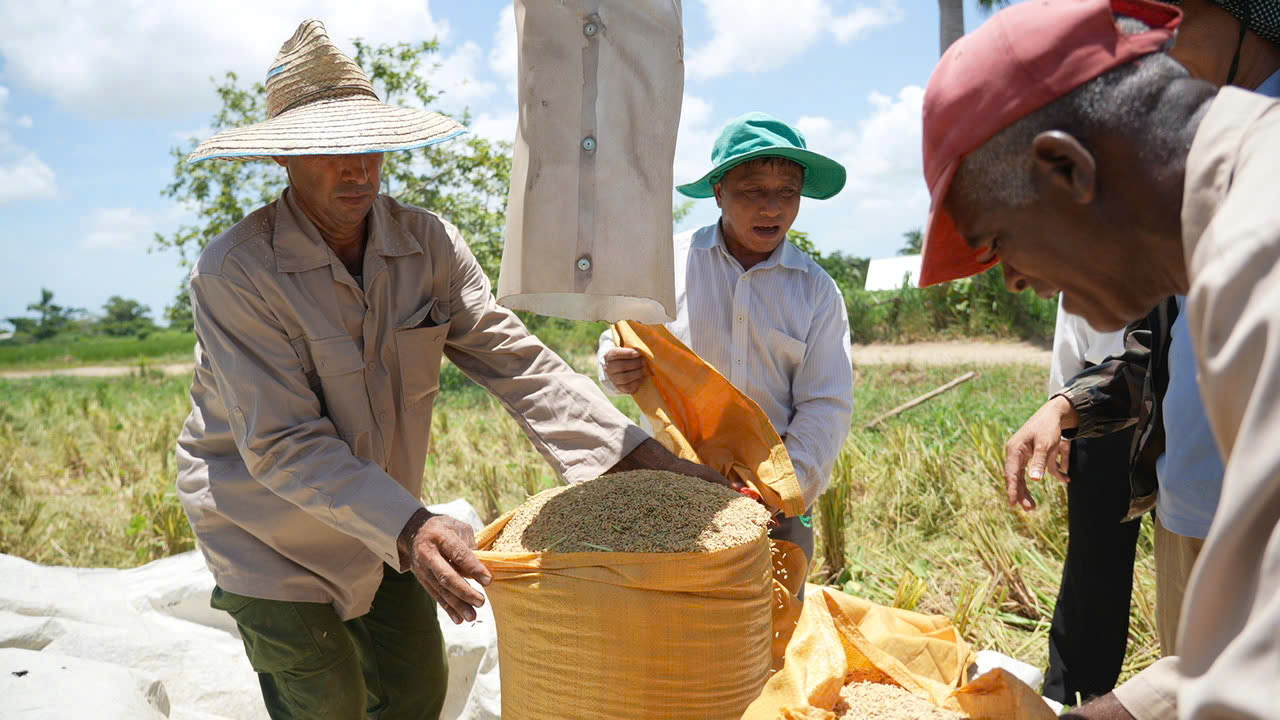 2511_lien-hoan-phim-2