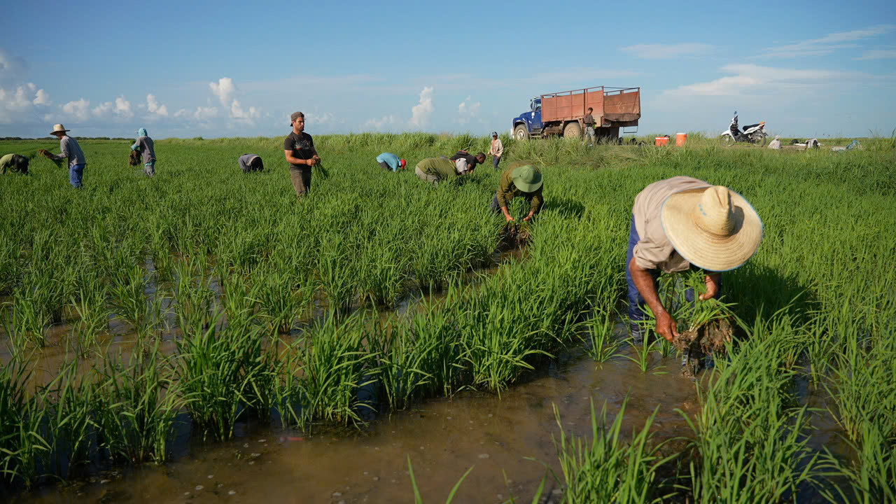 2008-vtv-dac-biet-vn-cuba-3
