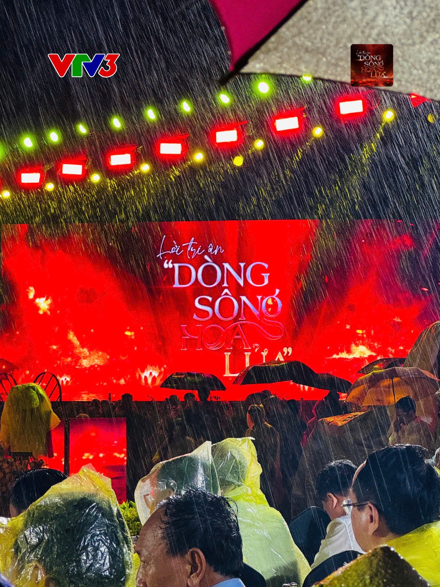 1909_dong-song-hoa-lua-11
