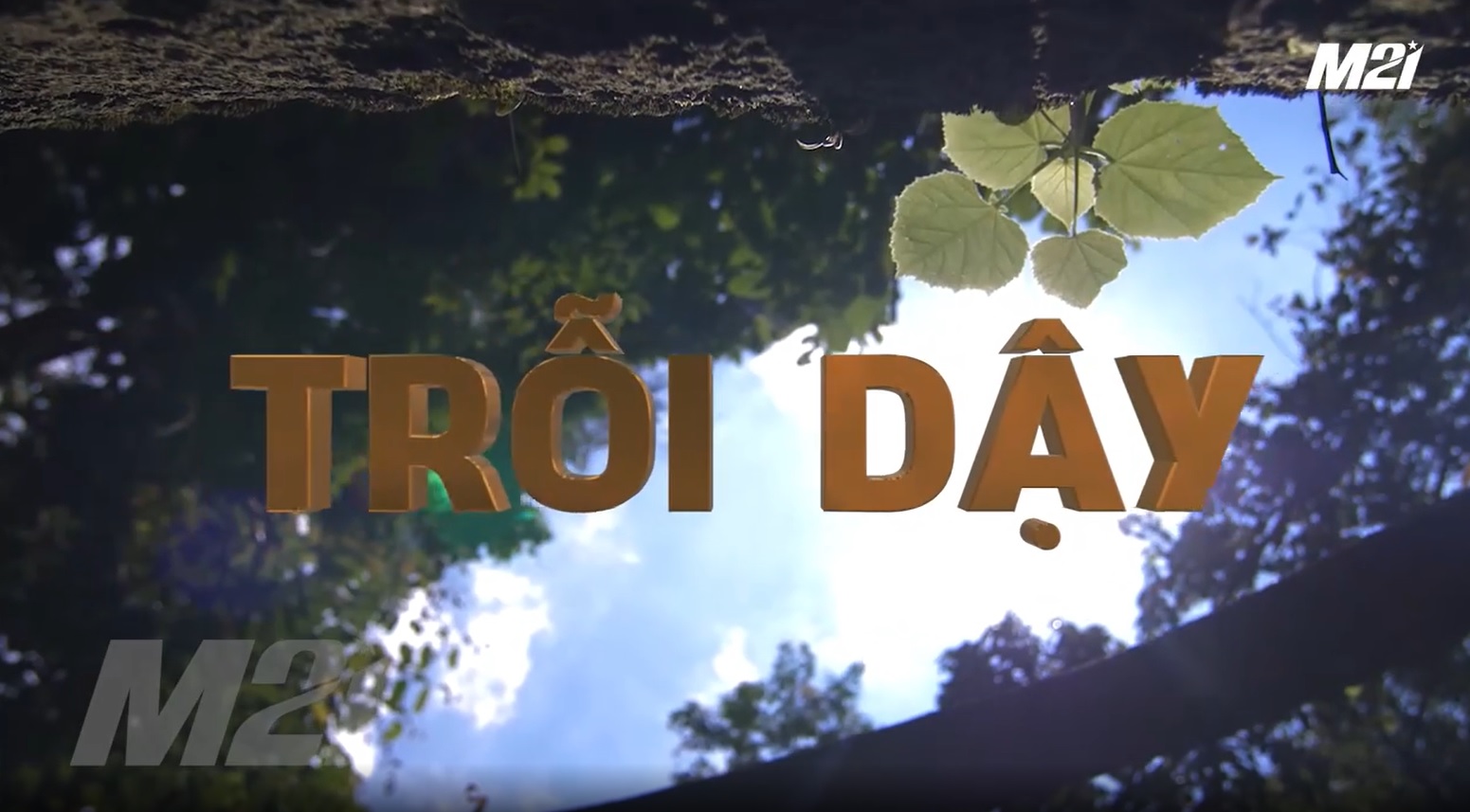 2804-phim-tai-lieu-v9