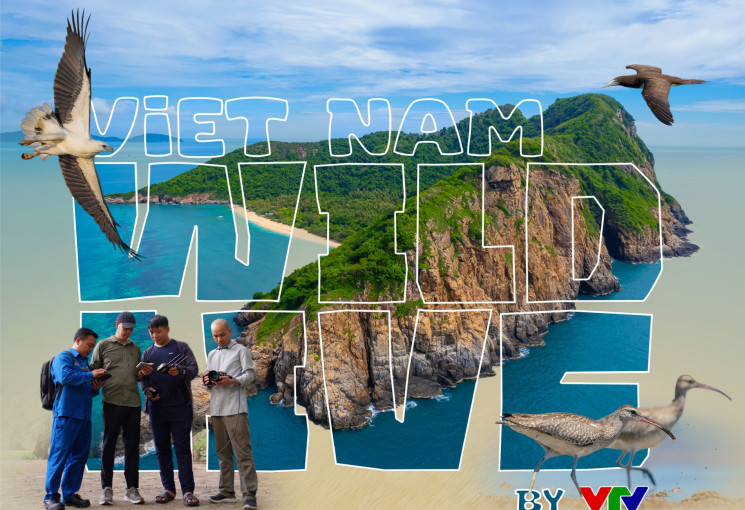 Ban Chuyên đề - Khoa giáo, Đài THVN phê duyệt kế hoạch lựa chọn nhà cung cấp dịch vụ thuê thiết bị ghi hình tại Côn Đảo