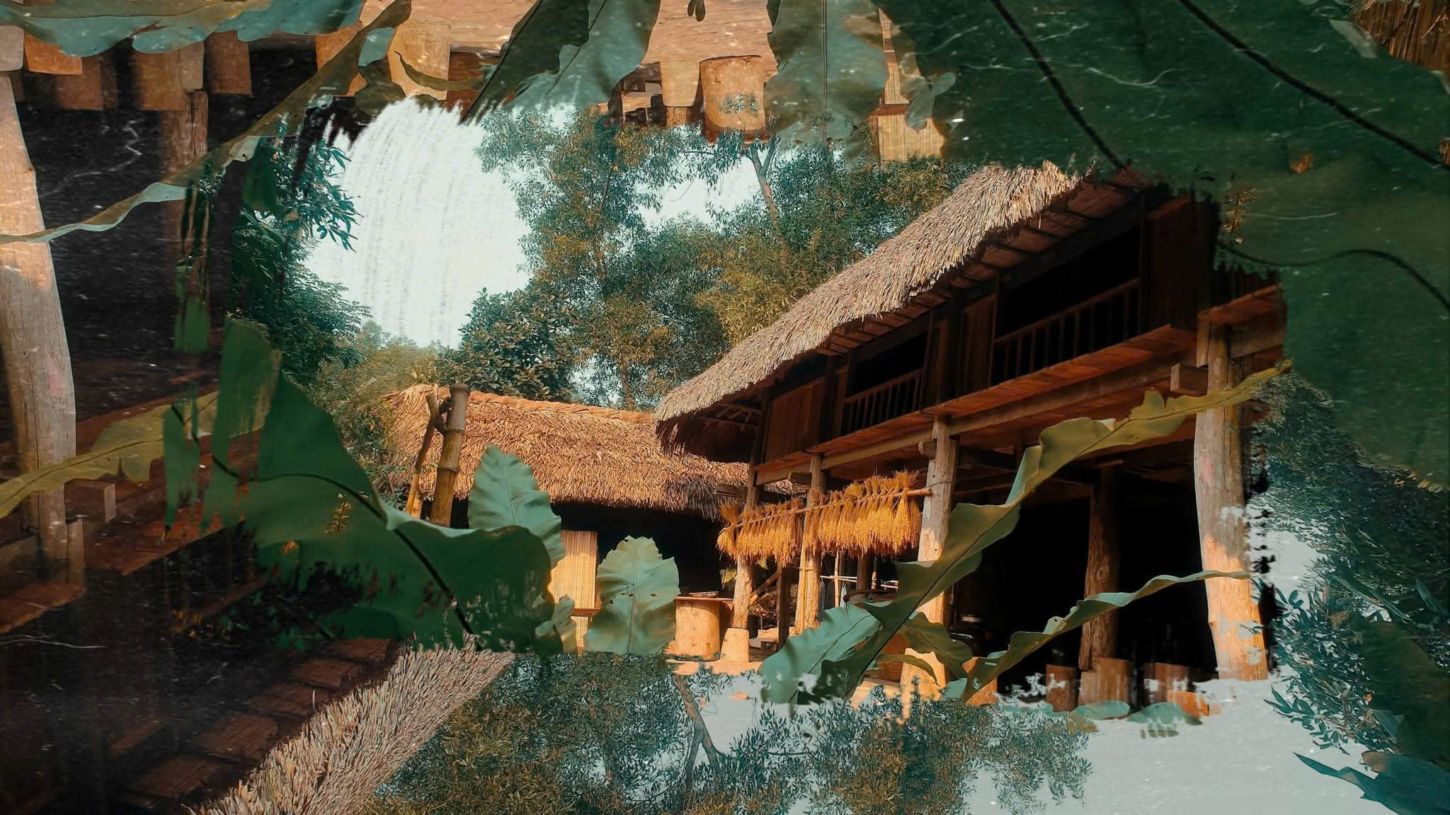 Xuân về trong trái tim đồng bào 2026 5