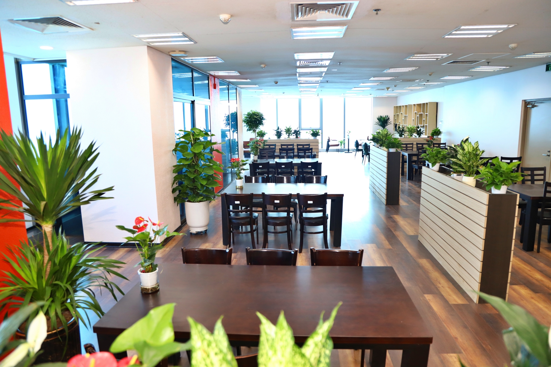 Canteen 23
