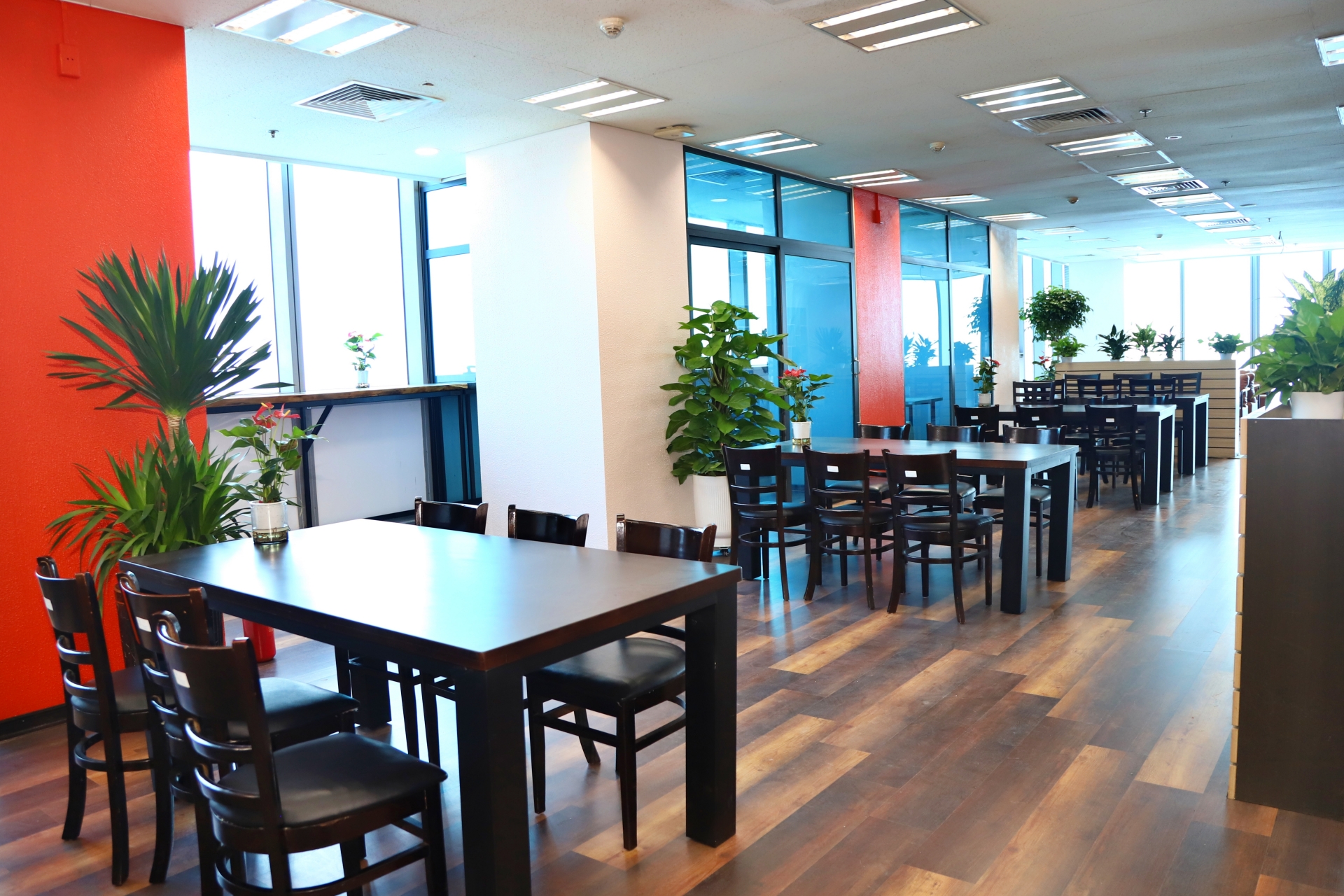Canteen 24