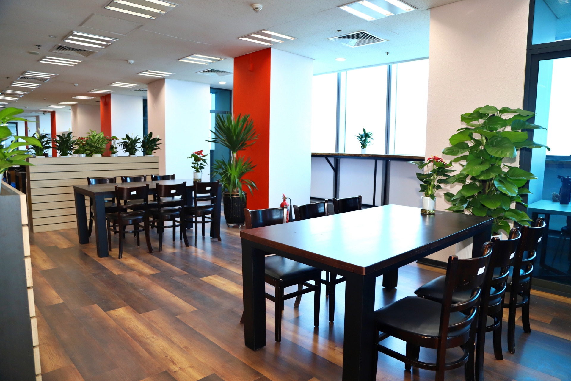 Canteen 30
