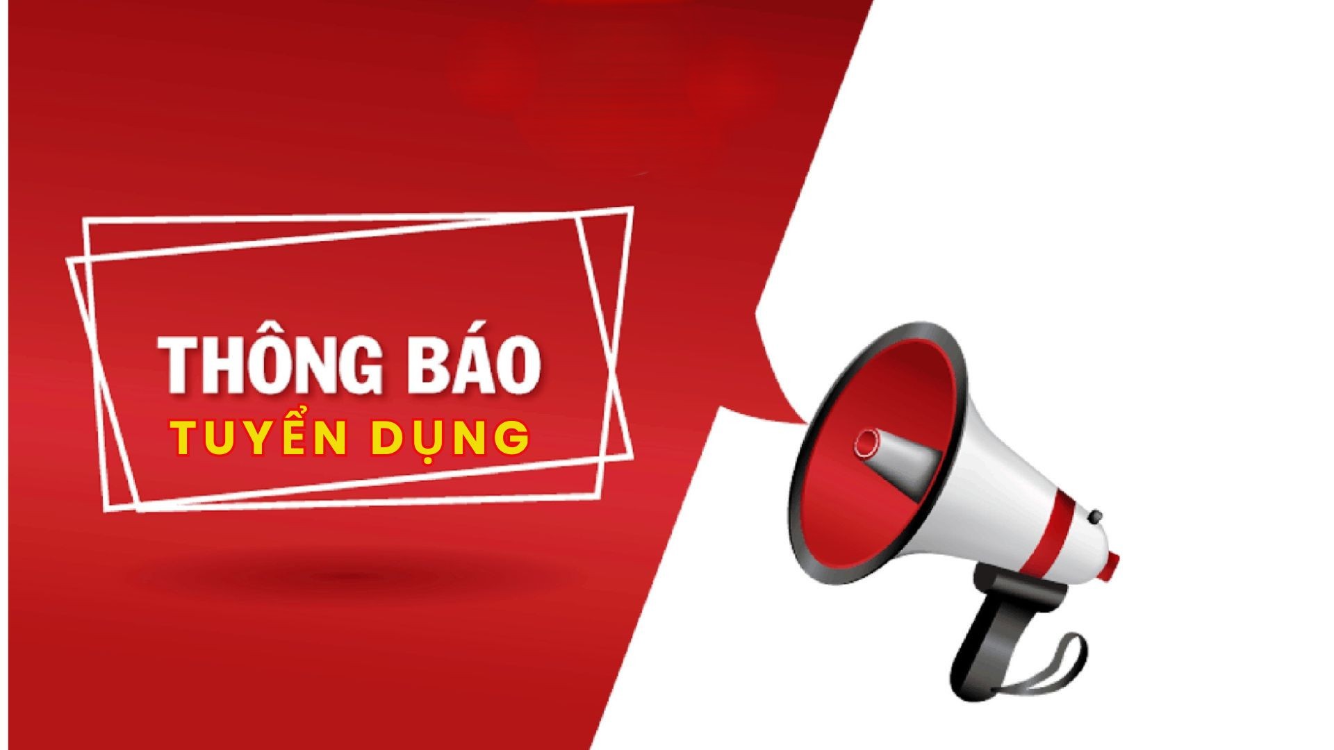 Đài THVN tuyển dụng LĐHĐ cho Trung tâm Kỹ thuật và Mỹ thuật truyền hình