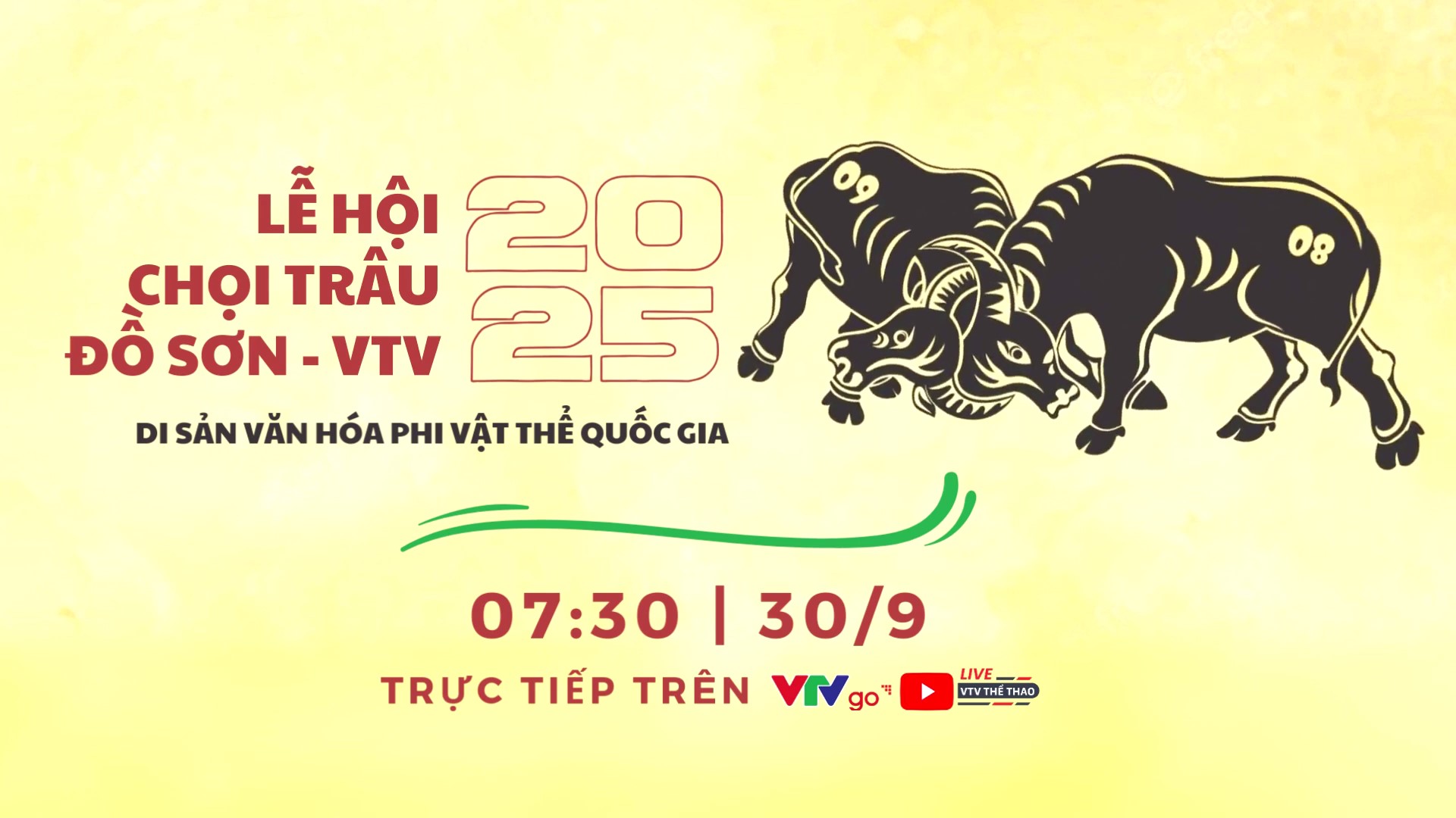 Xem trực tiếp Lễ hội chọi trâu truyền thống Đồ Sơn 2025 trên VTVgo