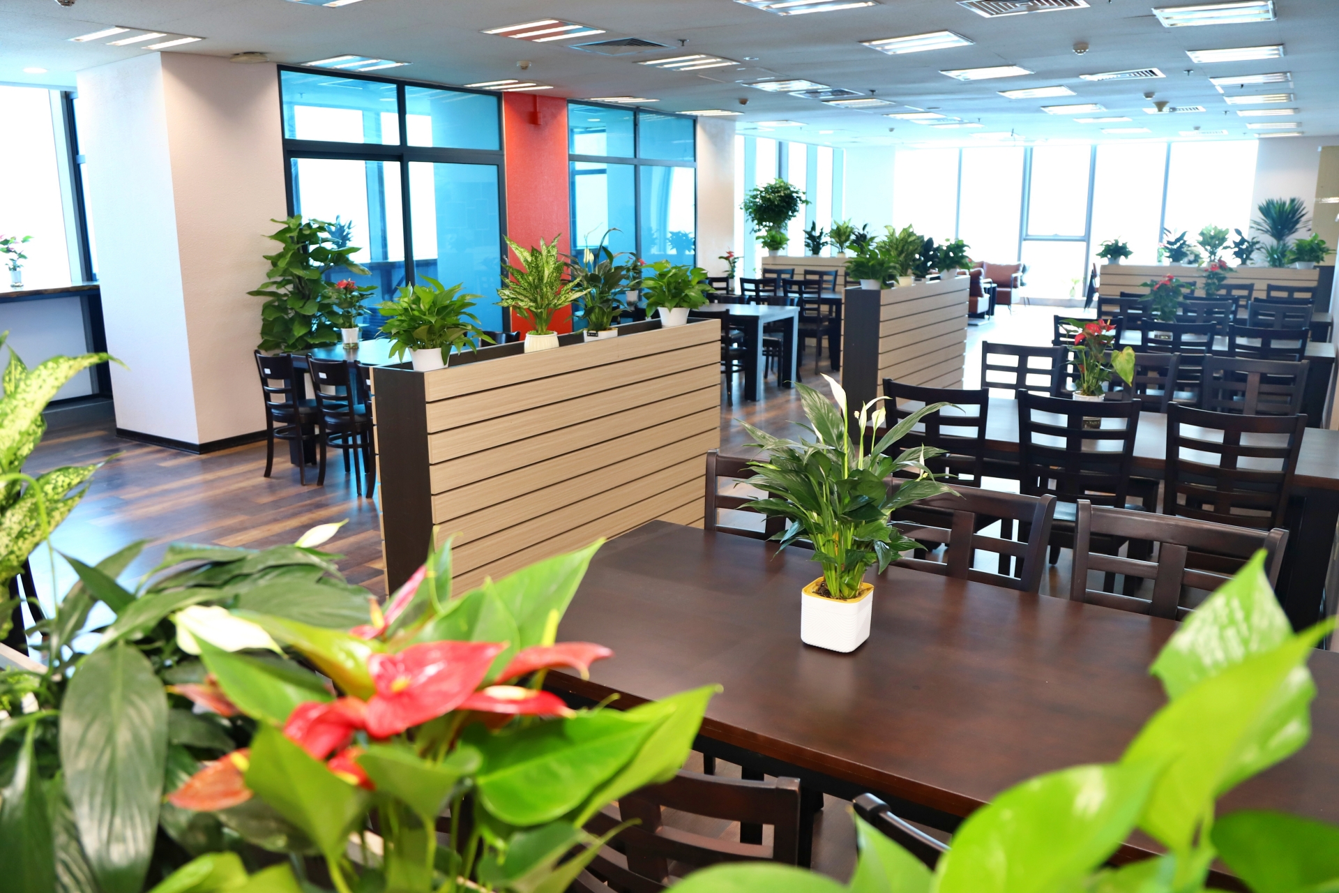 Chạm 28: Diện mạo mới, trải nghiệm mới