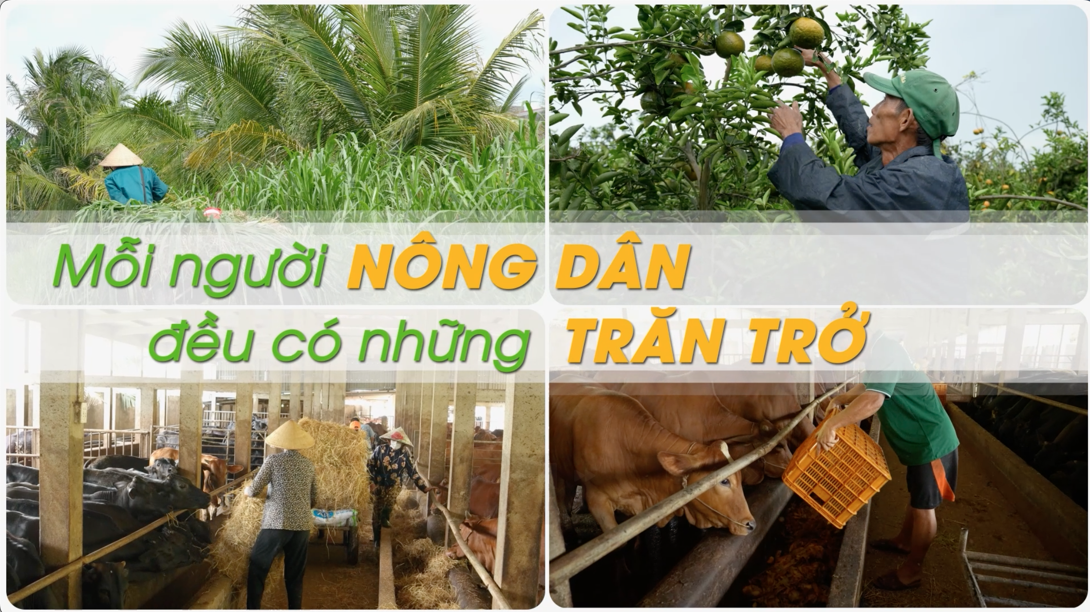 “Nông dân số” lên sóng VTV10, lan tỏa tư duy làm nông trong kỷ nguyên số